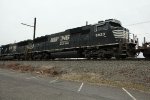 NS 6923 on K40